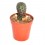 Cactus (maceta 5,5 cm ø)