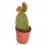 Cactus (maceta 5,5 cm ø)