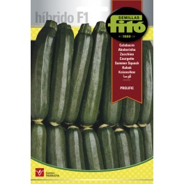 Prolific Zucchini Seed (híbrido)