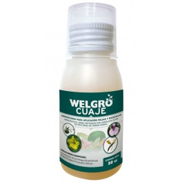 Conjunto de frutas Welgro (250 ml)