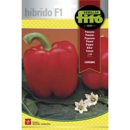 Semente de pimento Carisma (híbrido)