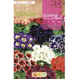 Bulb de gloxinia a granel