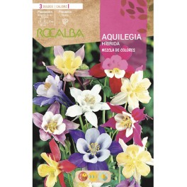 Lâmpada Aquilegia Rocalba variada (saco 3 unidades)