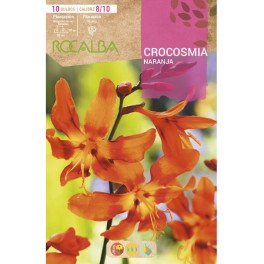 Bulbo laranja Crocosmia (10 unidades) Rocalba