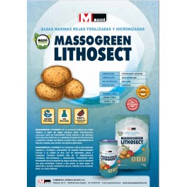 Massogreen Lithosect Patatas (1 kg)