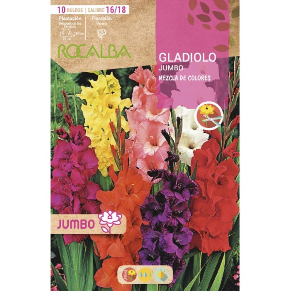 Bulbo de gladiolo Jumbo (bolsa 10 unidades) - Germigarden