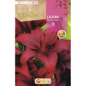 Große Lilienknolle (Farben auswählen)