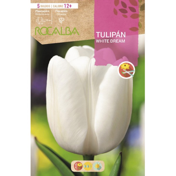 prisa Devorar conformidad Comprar bulbo de tulipan