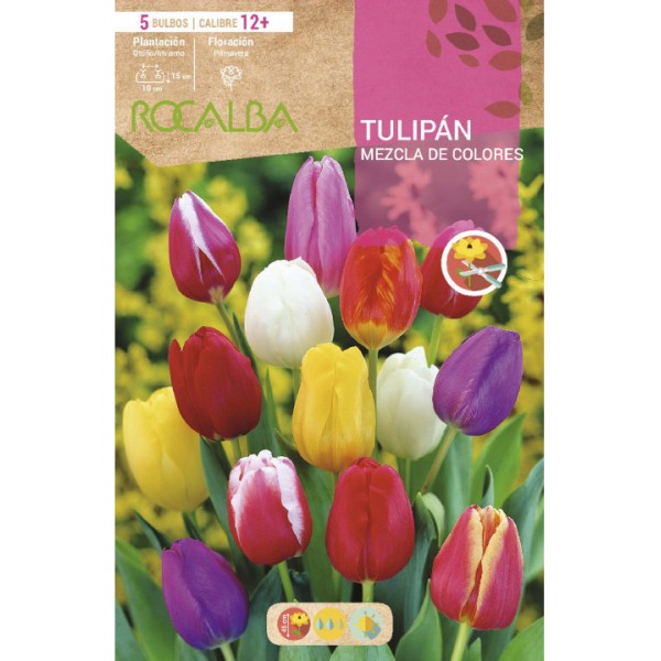 Achteter Bulbes tulipes en ligne a jardinieriekoeman.fr