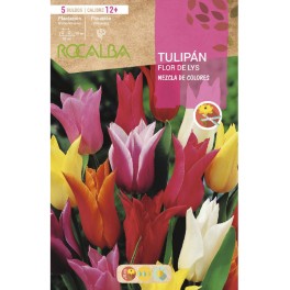 Bulbo de tulipán flor de lys variado (bolsa 5 unidades)