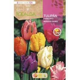 Bulb de tulipa papagaio variat (bossa 3 unitats)