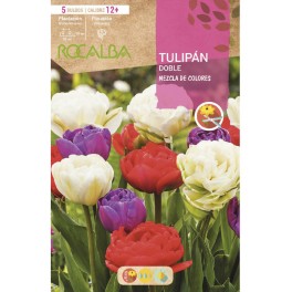 Bulb de tulipa doble variat (bossa 3 unitats)