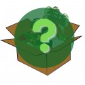 Jährliche GermiBox: Überraschungsbox mit Pflanzen und Zubehör