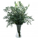 Eukalyptus parvifolia-Bouquet