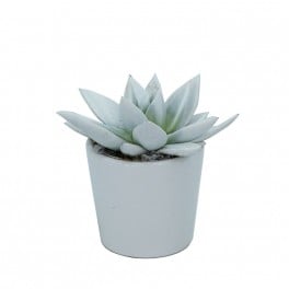 Mini echeveria de pontas de laranja em vaso de cerâmica laranja - Planta especial de Halloween