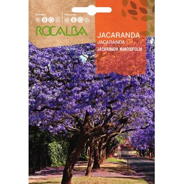 Llavor Jacaranda