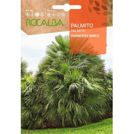 Semente de palmito (chamaerops humilis)