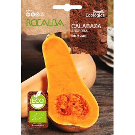 Semilla ecológica calabaza butternut