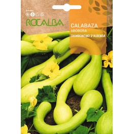 Semilla calabaza Mezcla de frutos pequeños