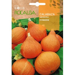 Semilla calabaza Mezcla de frutos pequeños