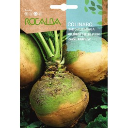 Semilla Colinabo Rutabaga