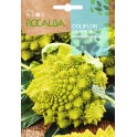 Blumenkohlsamen Romanesco natalino