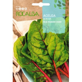 Semente de acelga vermelha Rhubarb Chard