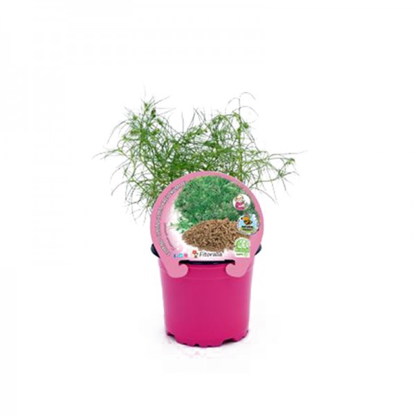 Substrat pour orchidées avec humus Bokashi (2 litres) - Germigarden