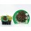 Planter d'enciam fulla de roure ecològic (12 unitats)