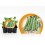 Planter fava ecològic (6 unitats)