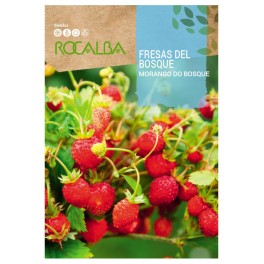 Graines de fraises des bois