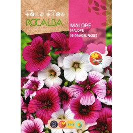 Graine de malope