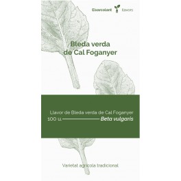 Semilla acelga verde Cal Foganyer (tradicional catalán)