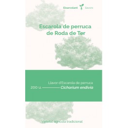 Semente de escarola de peruca de Roda de Ter (tradicional catalán)