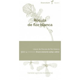 Llavor rúcula de flor groga (tradicional català)