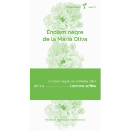 Graine de laitue nègre de la Maria Oliva (tradicional catalán)