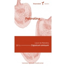 Graine de piment pebrotina (tradicional catalán)
