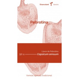Semilla pimiento pebrotina (tradicional catalán)