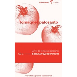 Graine de tomate Palosanto (tradicional catalán)