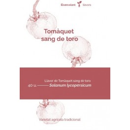 Graine de tomate sang de taureau (tradicional catalán)