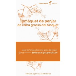 Llavor tomaquet de penjar de rama grossa del Sisquet (tradicional català)