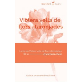 Semente de aleli de flor laranja (tradicional catalán)