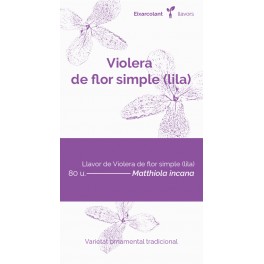 Llavor violer de flor simple lila (tradicional català)