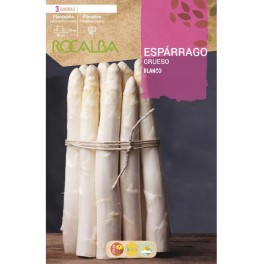 Racines d'asperges blanches (3 racines)