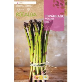 Racines d'asperges sauvages vertes (3 racines)