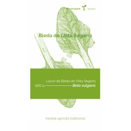 Graines de blettes rouge de l'Alta Segarra (tradicionnel catalan)