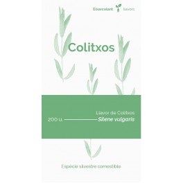 Llavor colitx (tradicional català)