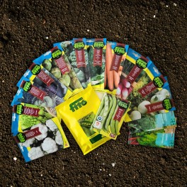 Pack de graines horticoles d'hiver basique 15