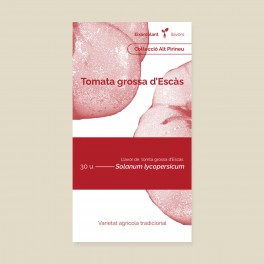 Llavor tomaquet tomata grossa d'Escàs (tradicional català)