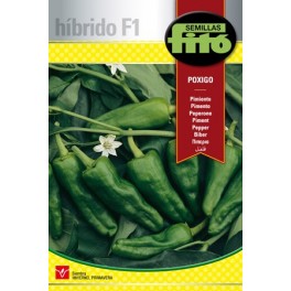 Semente de pimento Poxigo F1 (híbrido) (tipo Padrão)